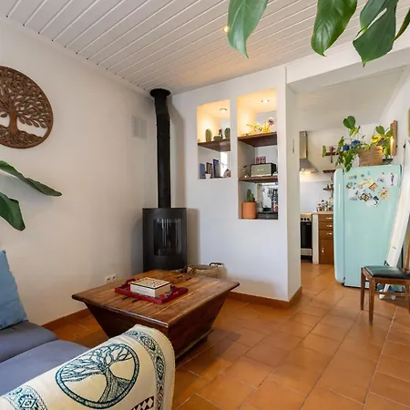 Vakantiehuis Casa Do Cacto With Fast Internet And Sunny Balcony!!! *